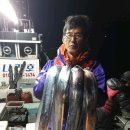 오늘도 여수 이미지