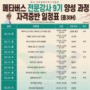 글로벌메타버스개발원