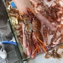 독도회식당 이미지