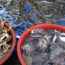 최씨어물전 이미지