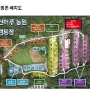 산머루 | &lt;파주&gt; 산머루농원캠핑장 가을캠핑 솔직후기 🍷⛺• 파주 캠핑장 추천• 산토끼A11 사이트 후기!