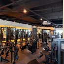 트라이 피트니스 이미지