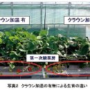 상순이네 하우스 이미지