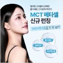 메타솔루션
