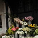 인연결혼정보 이미지