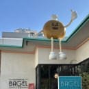 해운대 베이글 123 | 부산유일 화덕베이글맛집 해운대베이글123