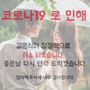 연송하 카카오 검색결과