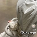 디에스컴퍼니 | 트라이크 | 영통 베이비하우스에서 지역화폐로 구입한 내돈내산 앨빈트라이크 그레이 컬러 장단점 후기