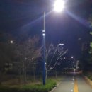 도안동로 이미지