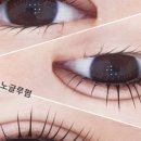 오다뷰티 이미지