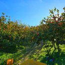 청명농장 이미지