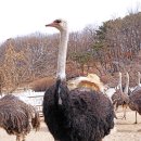 순호농장 이미지