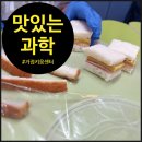 오해피데이지 이미지