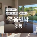 조음민박 | 제주도 숙소 추천 제주시 ‘조음민박 첫동’ 후기