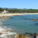 용화해변 Daum카페