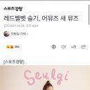 레드벨벳 슬기, 어뮤즈 새 뮤즈 이미지