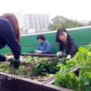 수원시 권선구 분회 (주)경기 타임스