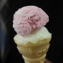 제주기사 이미지