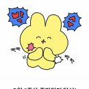 이모미용실 네이버블로그