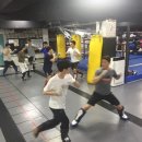 호원태권도체육관 이미지