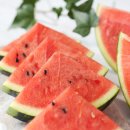 짐오브선셋 이미지