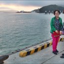 완도항구 이미지