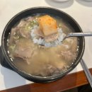복돈우리돼지국밥 | 경희대 회기 점심 내돈내산 솔직후기ㅣ해장에 딱! 미스터 국밥