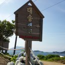 대송펜션
