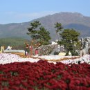 거제식물원 이미지