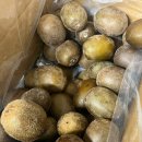 소랑다래랑 이미지