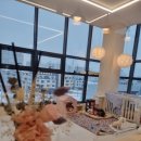 발리애견호텔 이미지