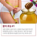 마능 이미지