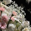 🩷💍 결혼식 아이폰스냅 ‘비마이아뜰리에’ 본식 진행 후기(내돈내산✨)
