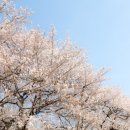 학암농장 이미지