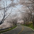 옻채아트 이미지