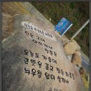 아담농원 이미지