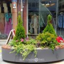 한복거리 이미지