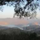 매화숲유치원 이미지