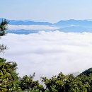 금산 진악산 - 김여사 운해에 빠진 날 이미지