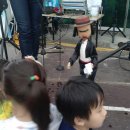 괴산월드태권도 이미지