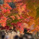 (주)행복은행나무 이미지