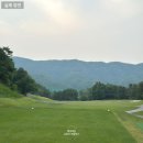 LPGA 골프 여제 리디아고가 선택한 마우이짐 (Maui Jim) 편광 선글라스