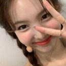 스튜디오미니테일 이미지