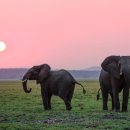 법친구 행정사 사무소 이미지