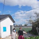 둔치도경로당 | 사전연명의료의향서 작성 후기 1화-열무 한 단이 주는 행복