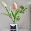 공구조아 이미지