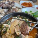 토종한의원