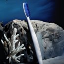 한 소프트 | [칫솔 추천] 한 번 쓰면 못 돌아오는 인생 칫솔! '백선생 왕타칫솔' 소프트골드 한 달 사용 후기 ✨