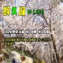 밋델리