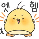 메리엔다in속초108 이미지